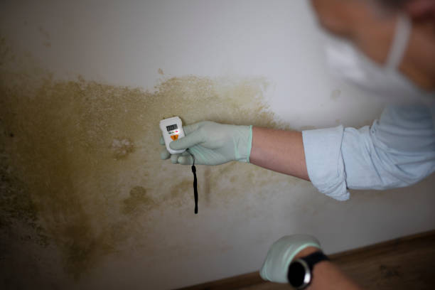 Water Damage Restoration in Merchantville, NJ